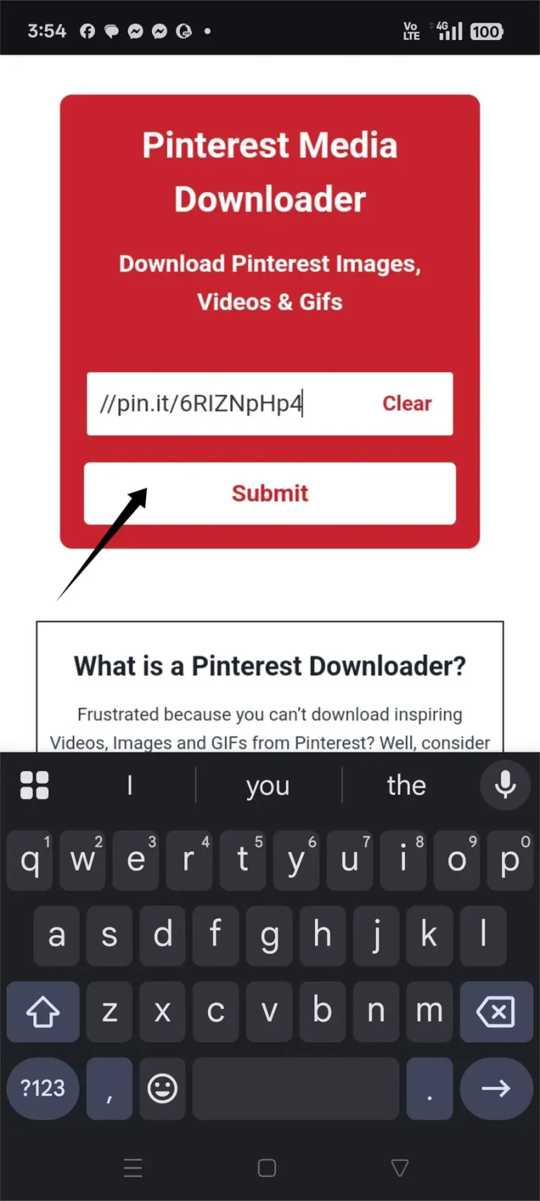 Step 4 - Paste the URL Link in PinFetch