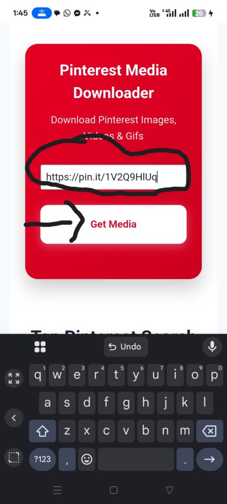 Open the Pinfetcher Download App